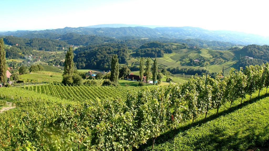 Готель Weingut Rebenhof Moarhauser Рач-ан-дер-Вайнштрассе Номер фото